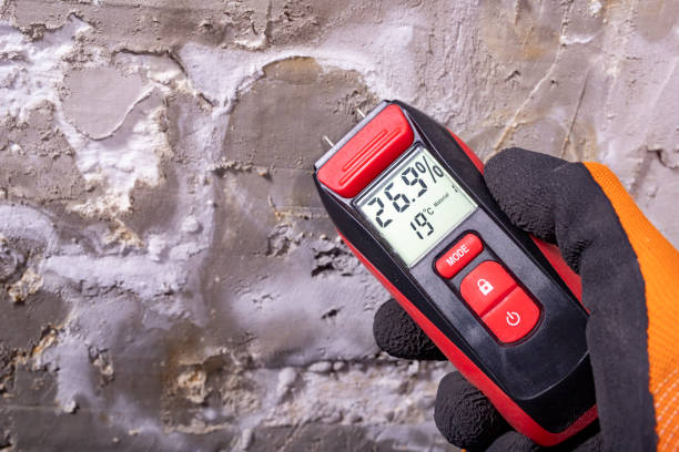 Best Mold Removal Near Me  in Maeser, UT