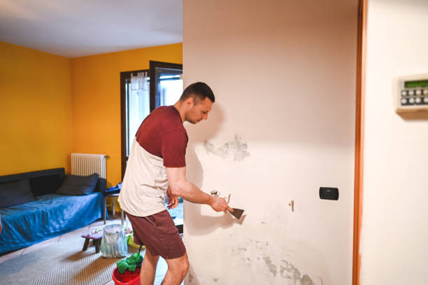 Best Local Mold Removal Service  in Maeser, UT